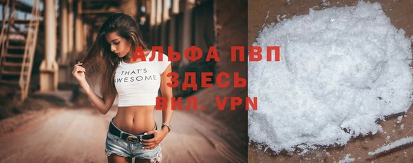 шишки Абаза