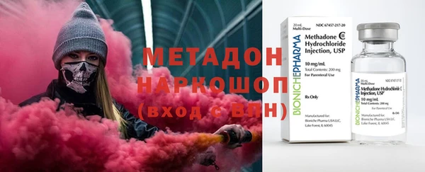 шишки Абаза