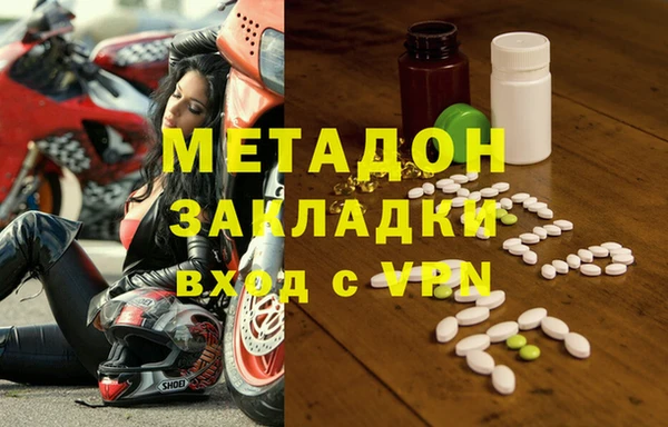 шишки Абаза
