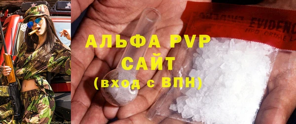 шишки Абаза