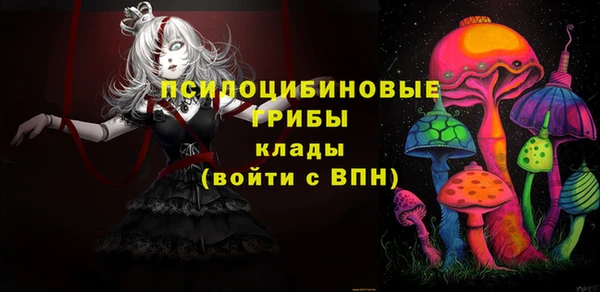 трава Осинники